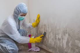 Best Asbestos and Lead Testing During Mold Inspection in USA